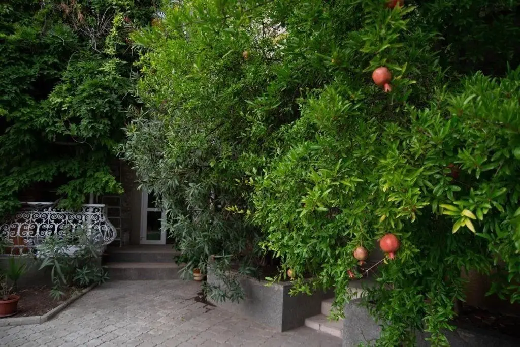 Алупка: Villa Mariya Khitrovo