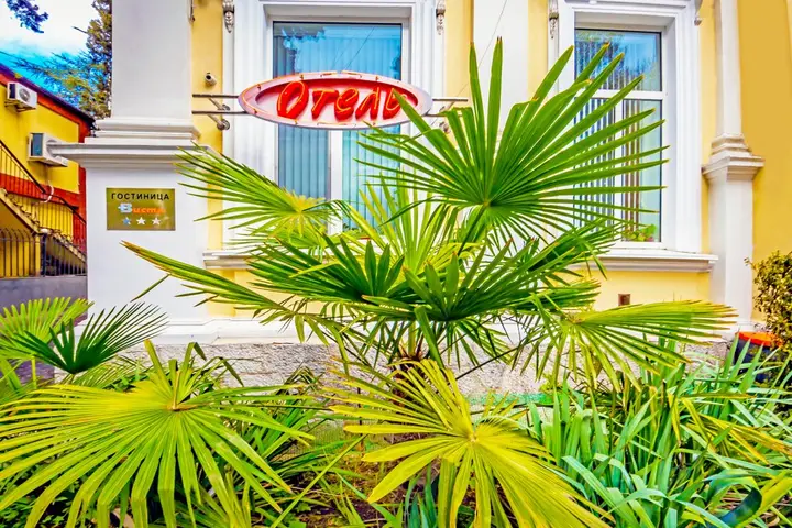 Ялта: Гостиница Виста