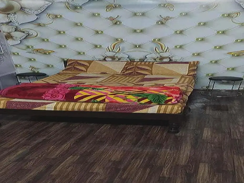 Алипур: Oyo 702343 Park Inn Guest House