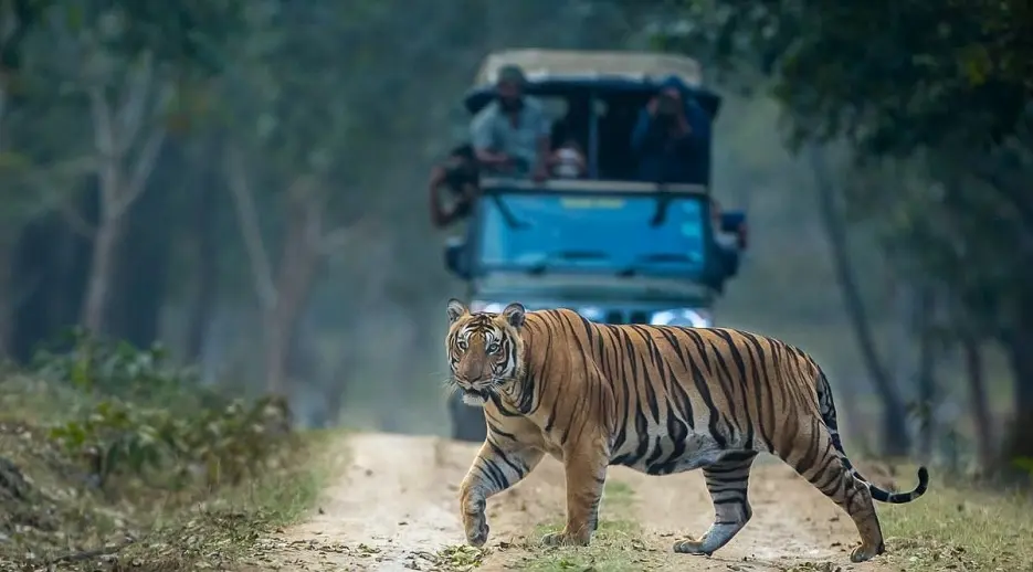 Тирунелли: Kabini River Lodge by Jungle Lodges