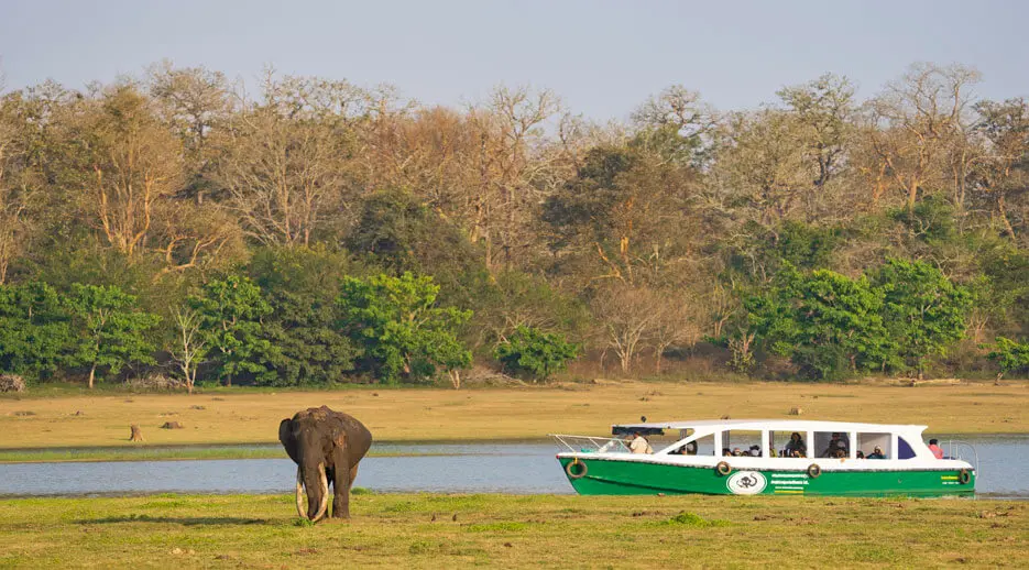 Тирунелли: Kabini River Lodge by Jungle Lodges