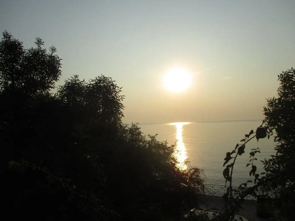 Алушта: Guesthouse Flamingo