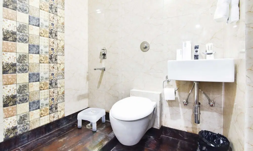 Нью-Дели: Capital O 48270 Hotel Mehar Castle