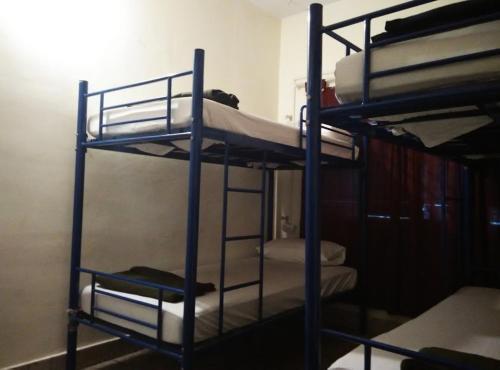 Бангалор: Electric Cats Annexe Hostel