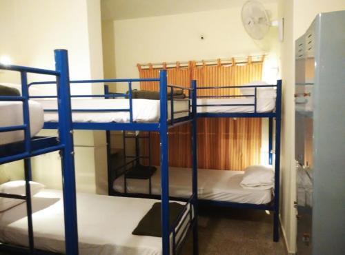Бангалор: Electric Cats Annexe Hostel