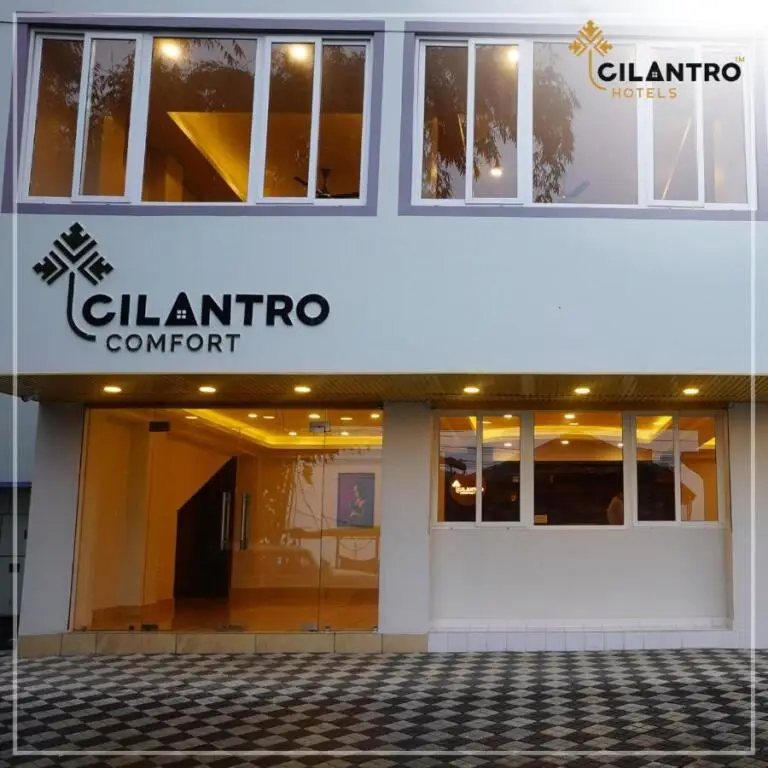 Cilantro Comfort — фото 1
