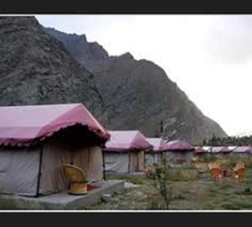 Гемур: Jispa Journey Camp Lahoul & Spiti