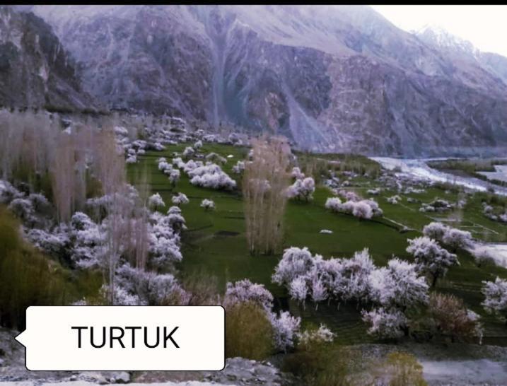 Хундер: Hotel The Stone Palace Turtuk