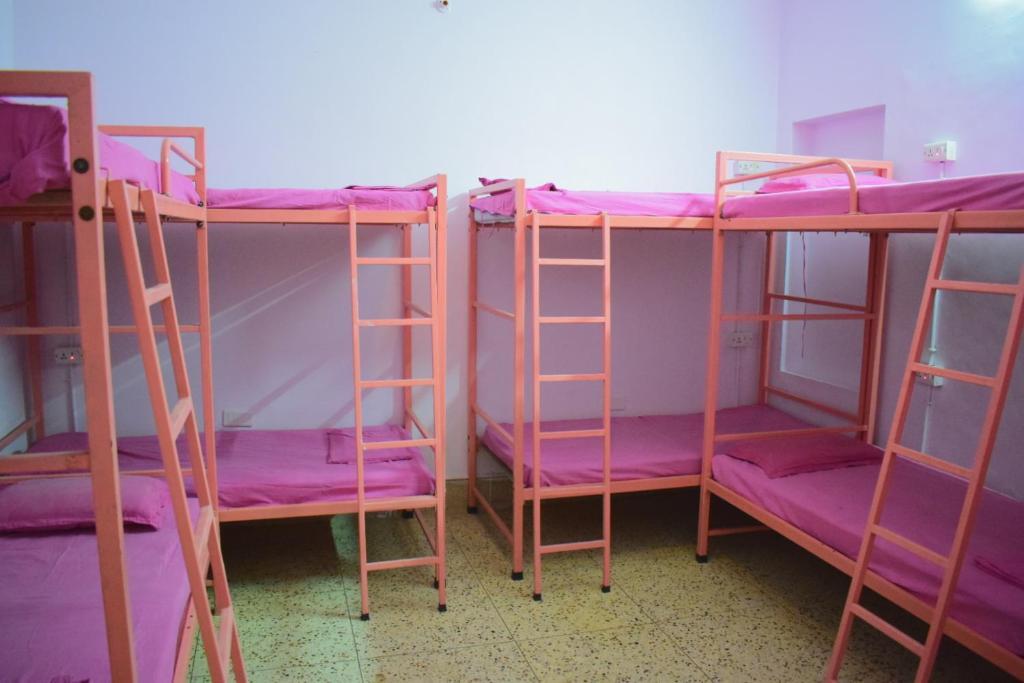 Джайпур: Backpackers Villa