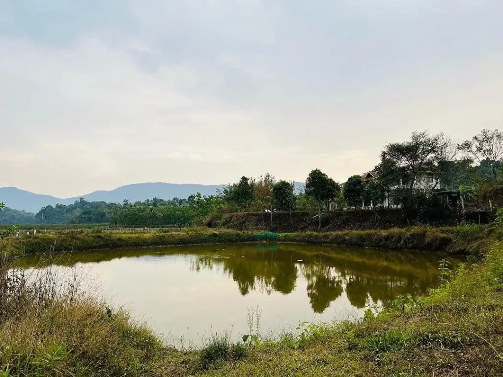 Какабе: Mountain side retreat Near Tadiyandamol Hills