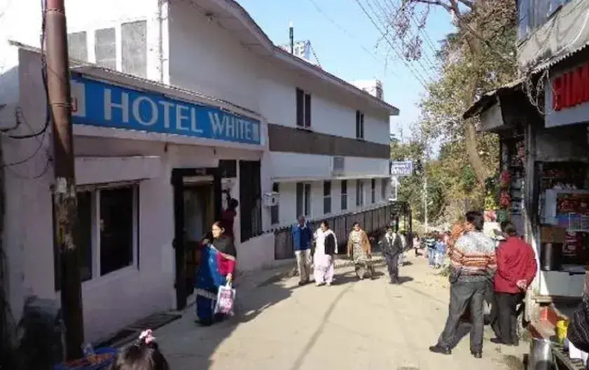 Куфри: Hotel White