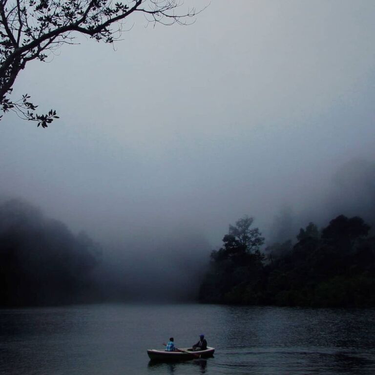 Куттикканам: Gavi Eco-Tourism Stay with all meals and activities in Forest