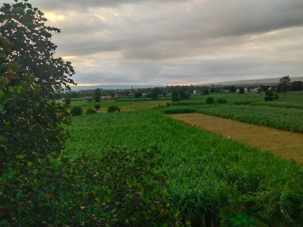 Лаал-Таппар: Airport Luxury Nature Valley Homestay