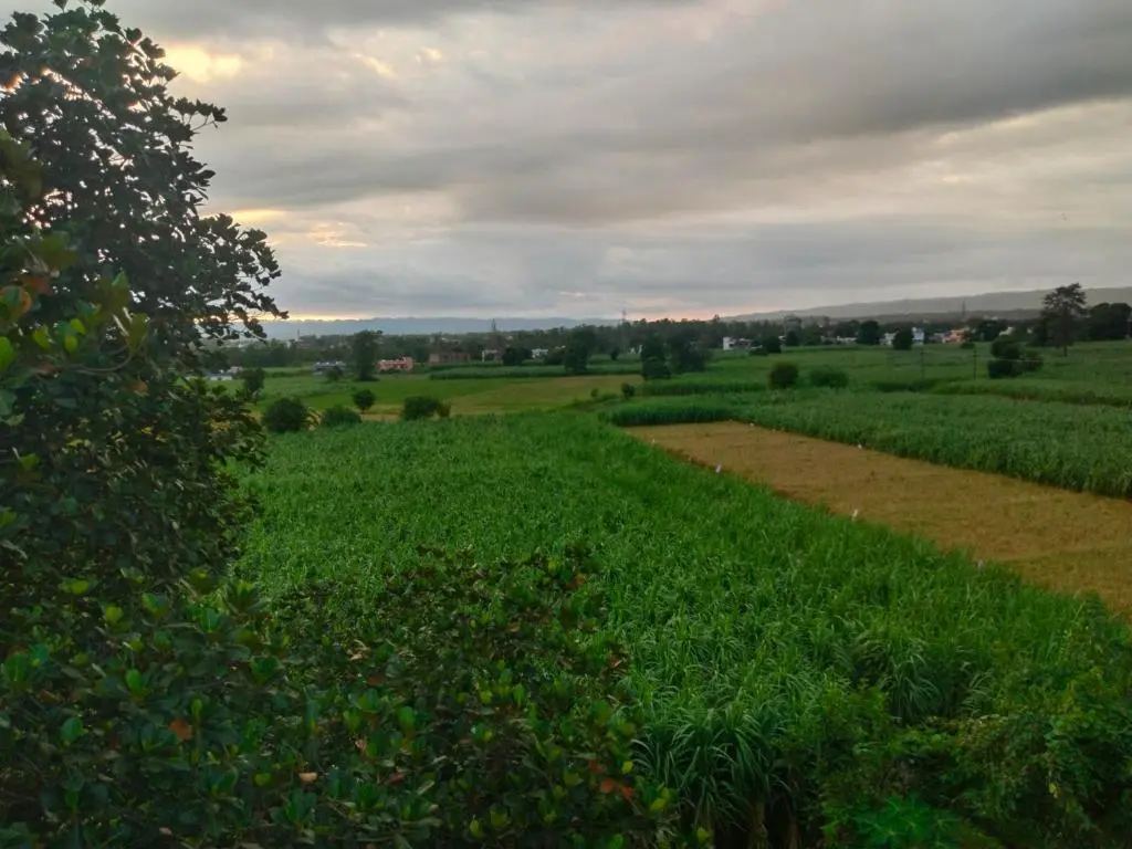 Лаал-Таппар: Airport Luxury Nature Valley Homestay