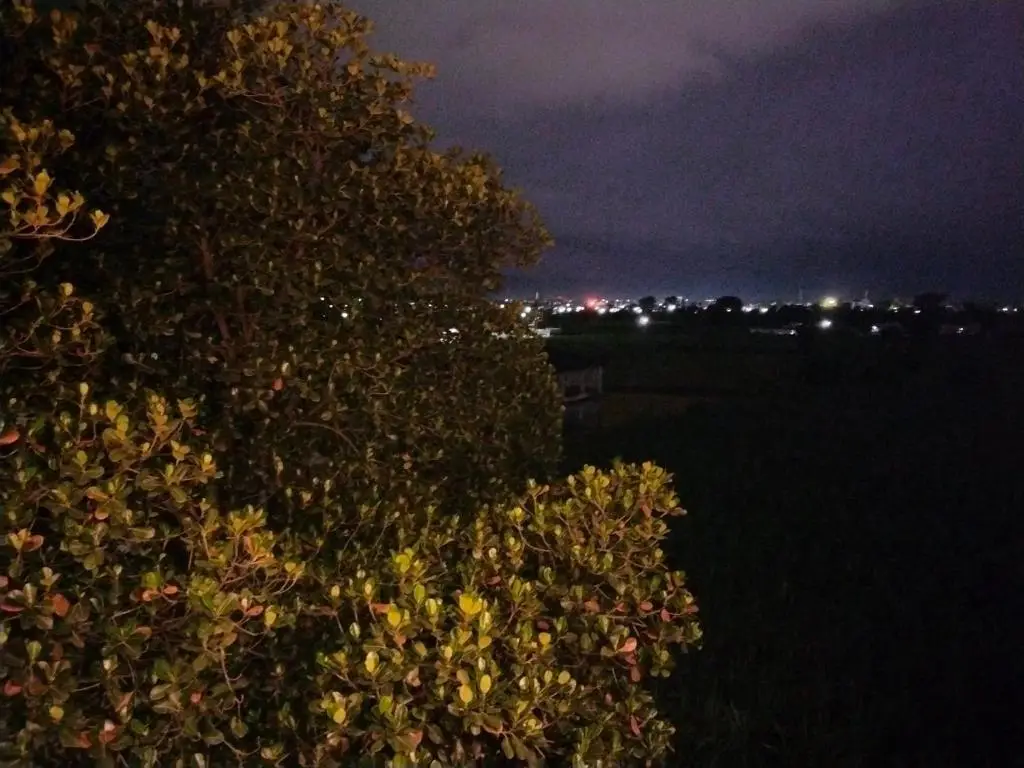 Лаал-Таппар: Airport Luxury Nature Valley Homestay