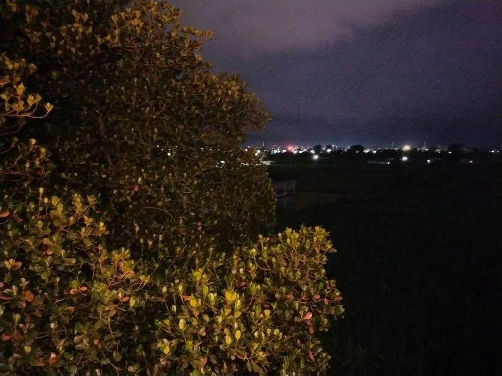 Лаал-Таппар: Airport Luxury Nature Valley Homestay