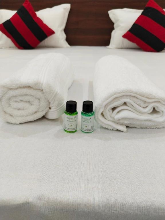 Лаал-Таппар: Airport Luxury Nature Valley Homestay