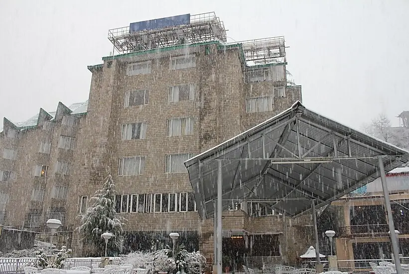 Olive County, Manali — фото 1