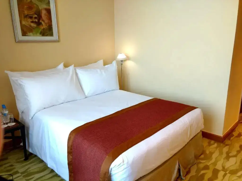 Нью-Дели: The Grand Luxury Apartment
