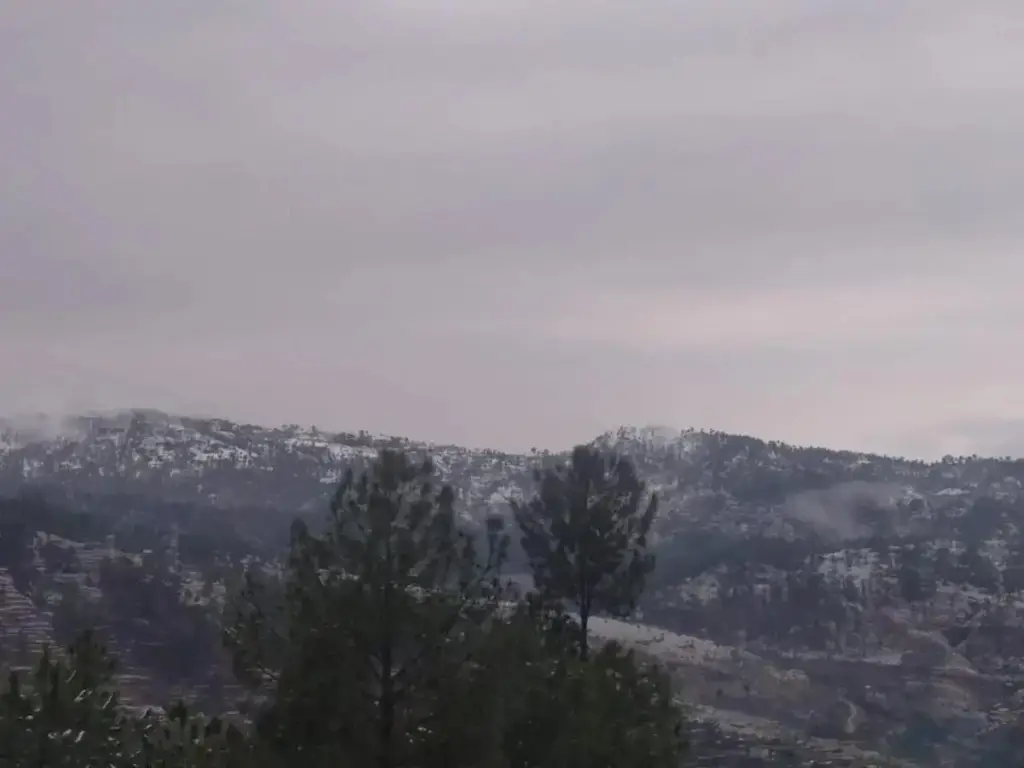 Раникхет: Kumaon Himalayan View