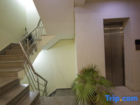 Нью-Дели: Hotel Tms Grand