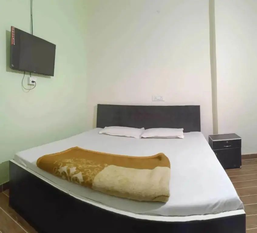 Нью-Дели: OYO 91128 Hotel Mongoose Palace
