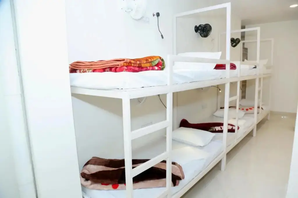 Нью-Дели: The Charlie's hostel