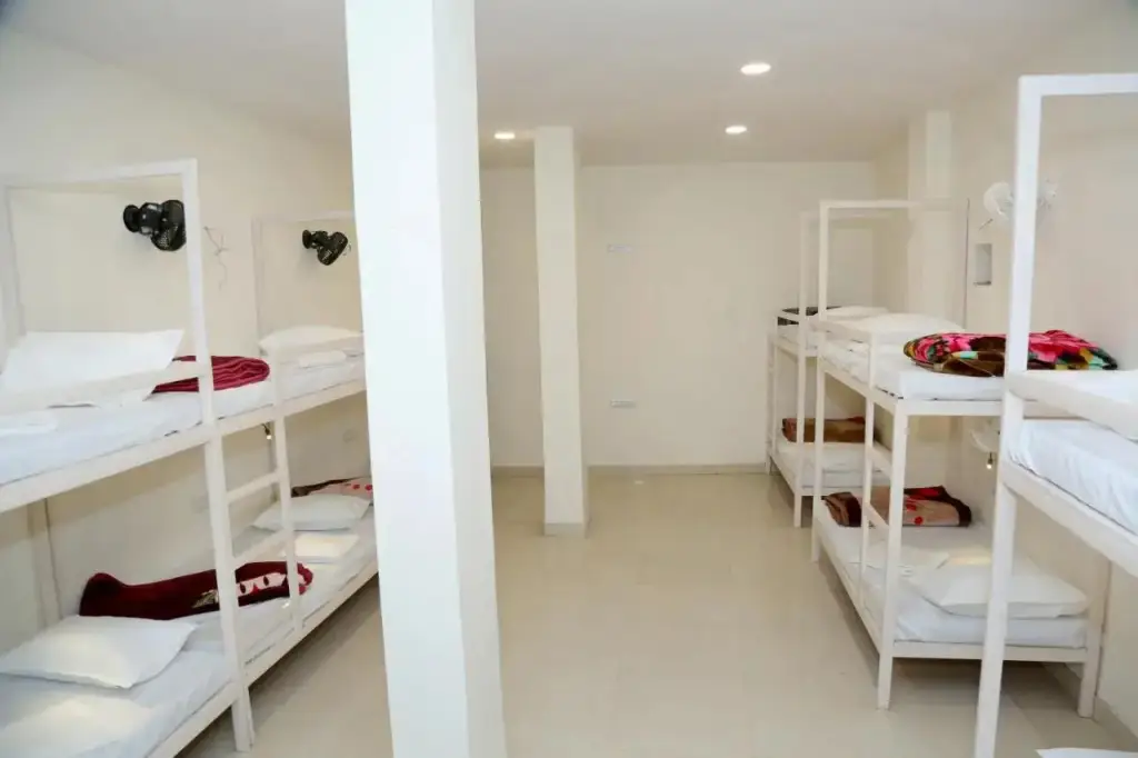 Нью-Дели: The Charlie's hostel