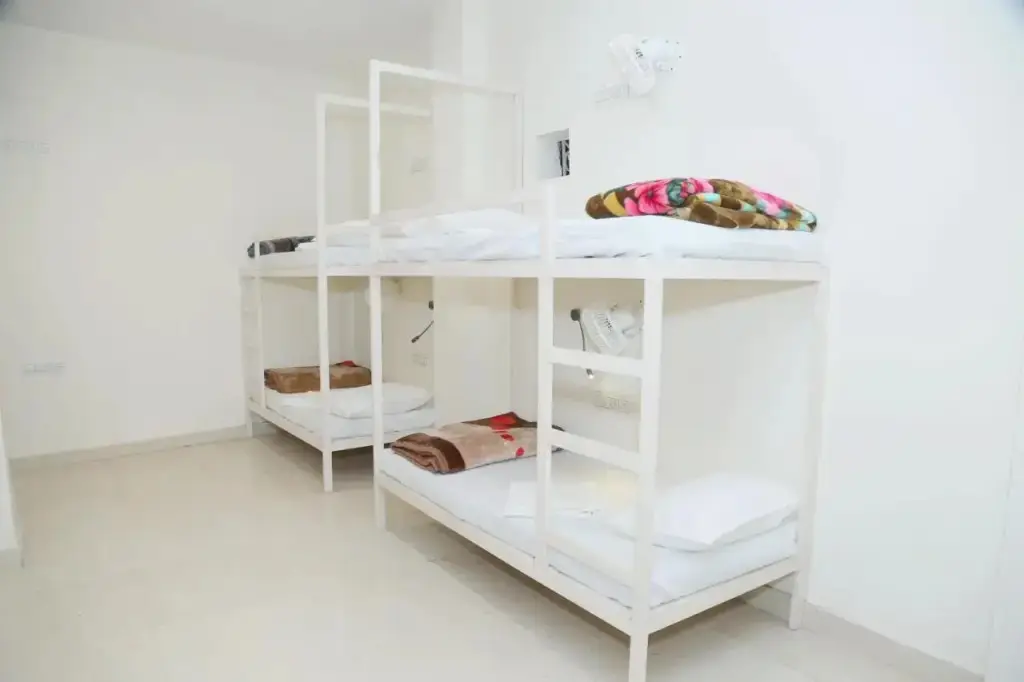 Нью-Дели: The Charlie's hostel