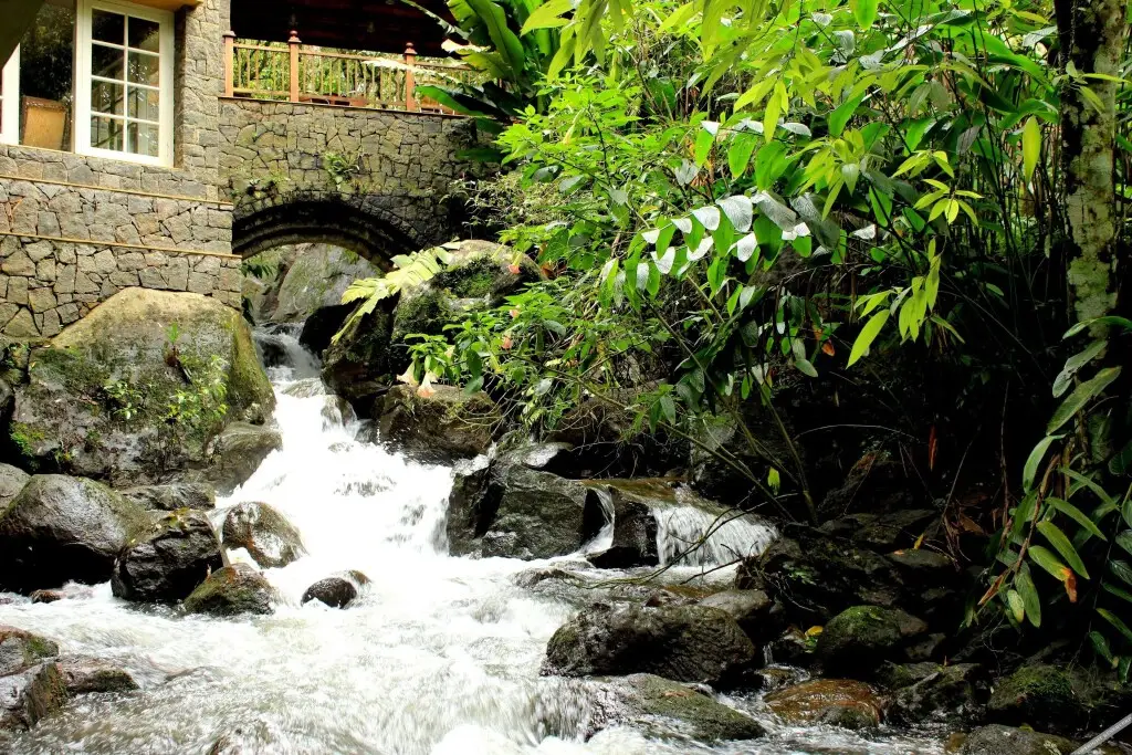 Mystic Mayapott Thekkady — фото 1