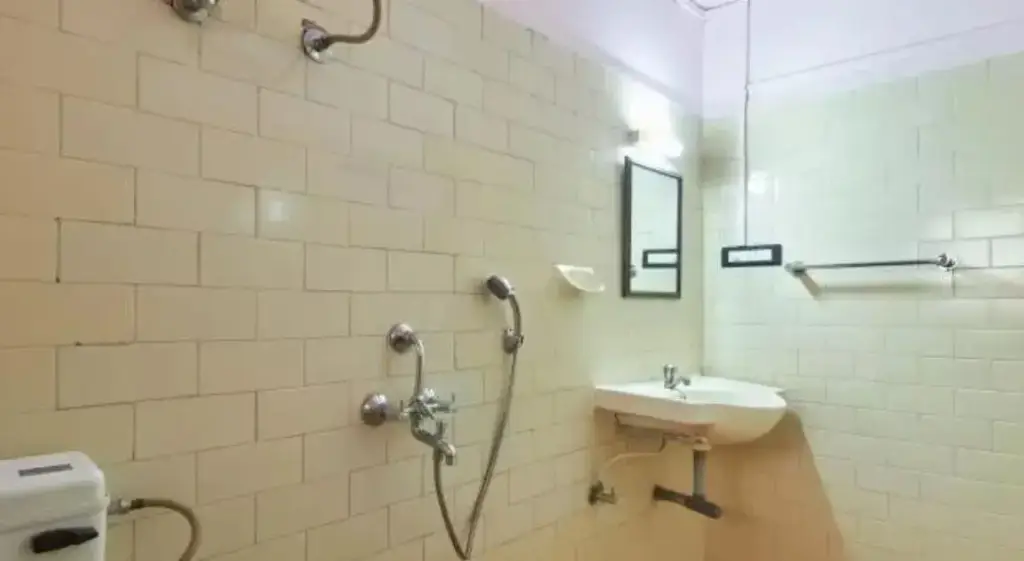 Южный Гоа: Hotel Menino Ponda