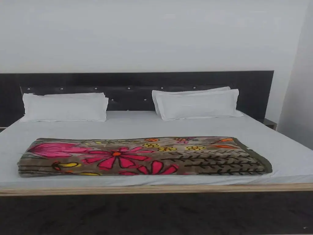 Нью-Дели: OYO 80790D Diamond Guest House