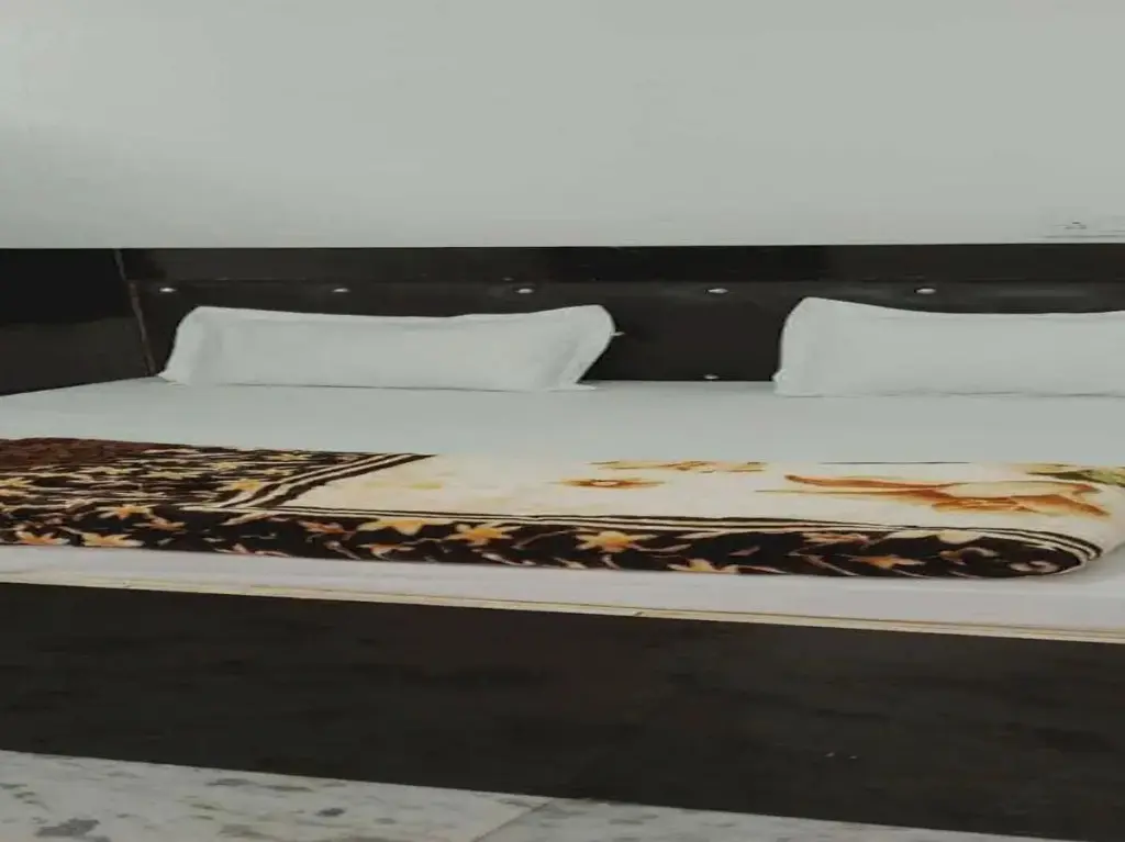 Нью-Дели: OYO 80790D Diamond Guest House