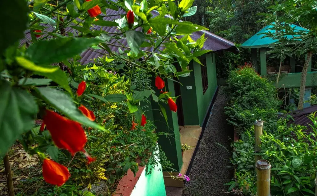 Муннар: Ecotones Camps Munnar