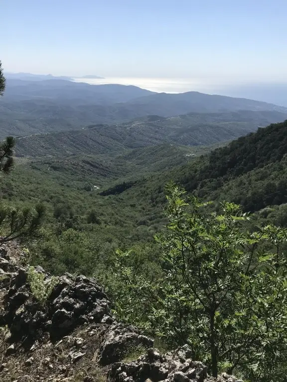 Алушта: Отель Аурам