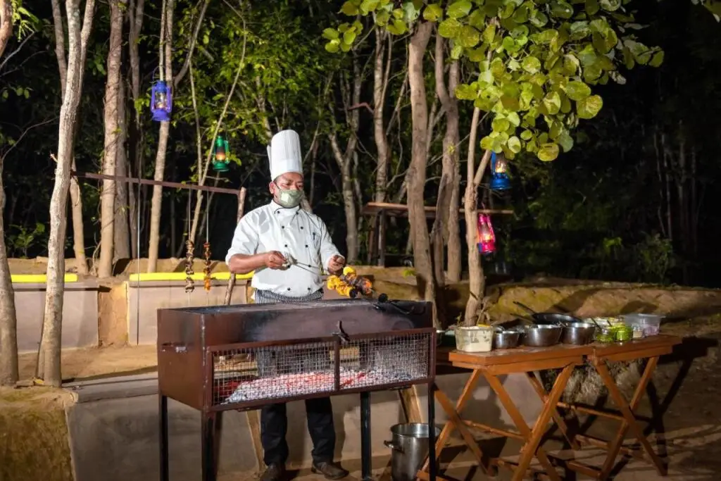 Турья: Bison Retreat - Pench