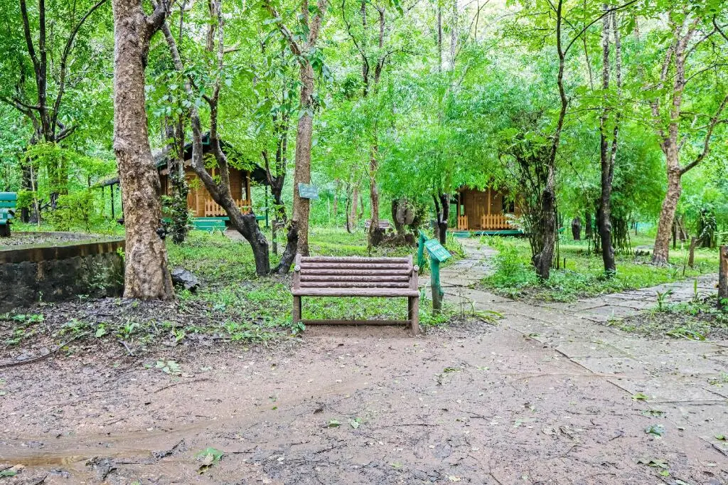 Сакрбайл: Jungle Lodges And Resorts- Sakrebyle Elephant Camp