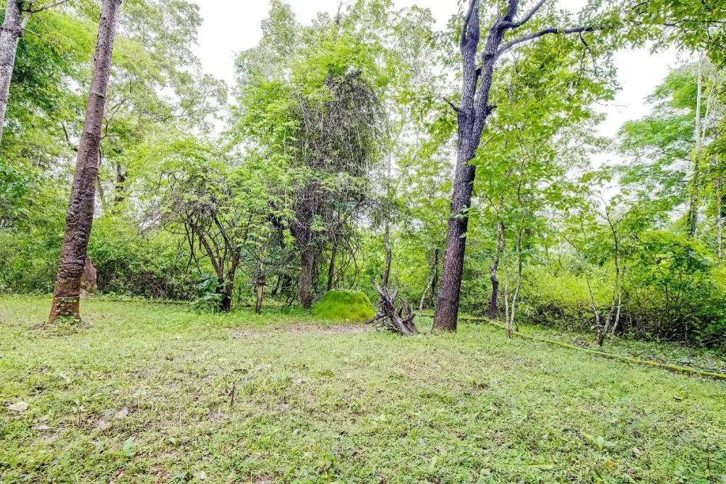 Jungle Lodges And Resorts- Sakrebyle Elephant Camp — фото 1