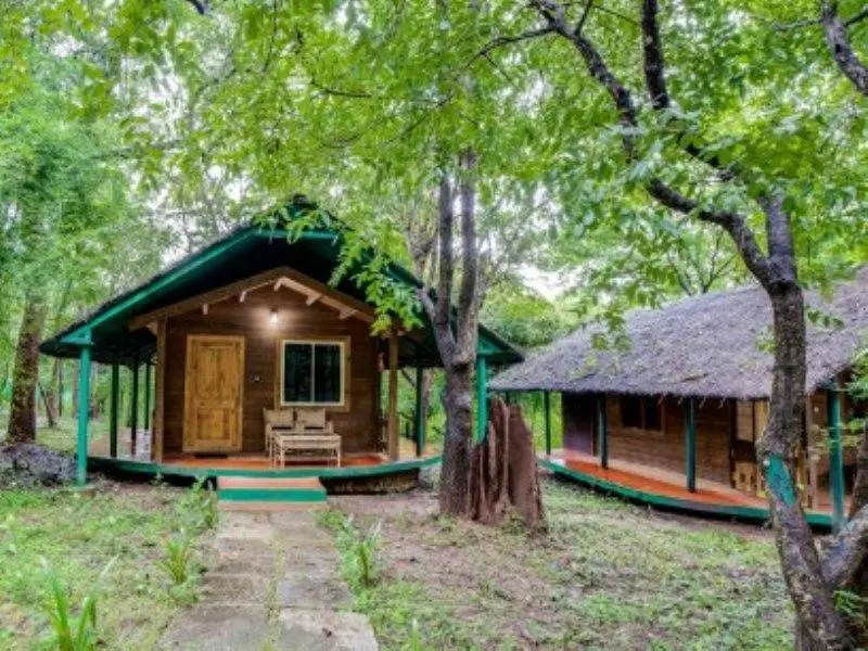 Сакрбайл: Jungle Lodges And Resorts- Sakrebyle Elephant Camp