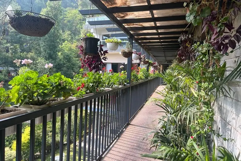 Оал: Dippys the boutique hotel