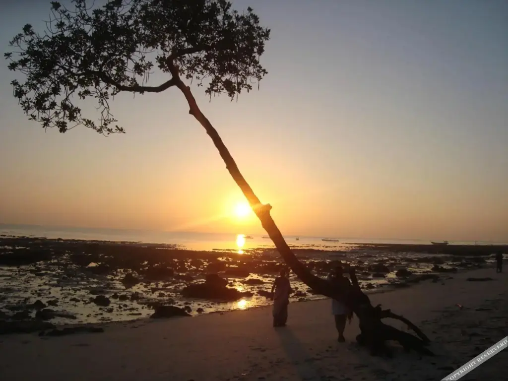 Остров Swaraj Dweep: Cross Bill Beach Resort-Havelock