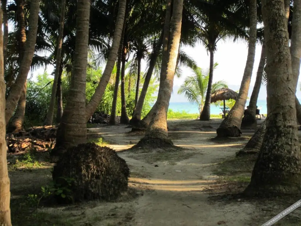 Остров Swaraj Dweep: Cross Bill Beach Resort-Havelock