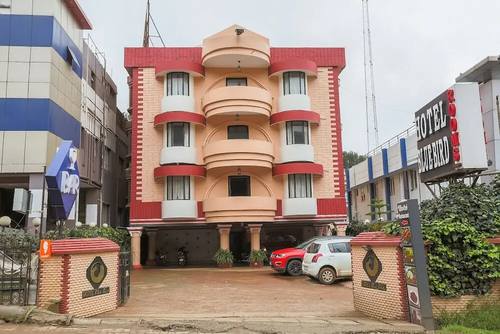 Hotel Blue Bird by OYO Rooms — фото 1