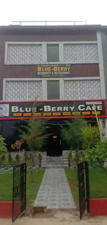 Blueberry Residency — фото 1