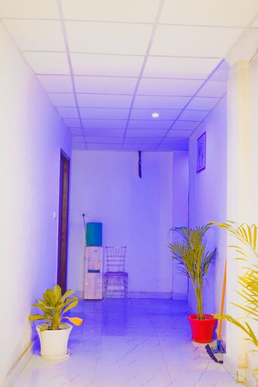 Нью-Дели: Roomshala 124 Royal inn Rohini