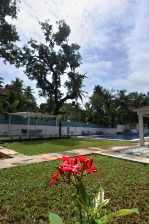 Верем: Ramada by Wyndham Goa Arpora
