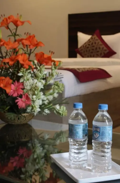 Нью-Дели: Hotel Lakshmi Palace Unit of Hotels18
