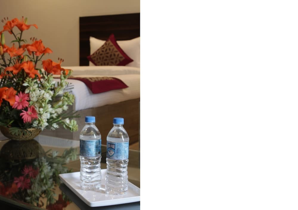 Нью-Дели: Hotel Lakshmi Palace Unit of Hotels18