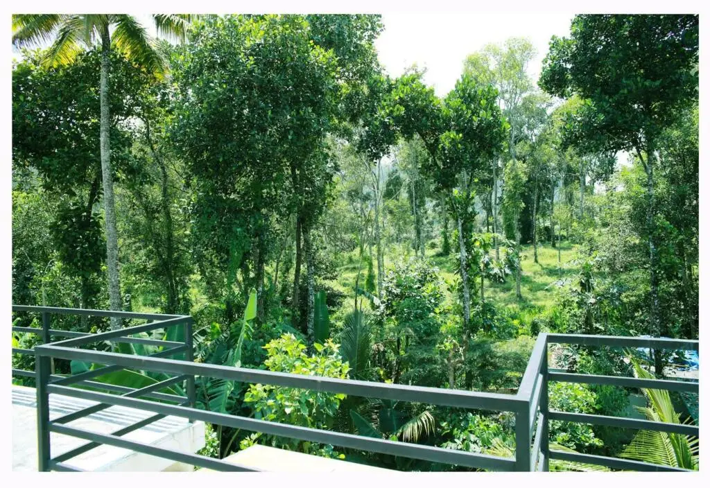 Кумили: Periyar Villa