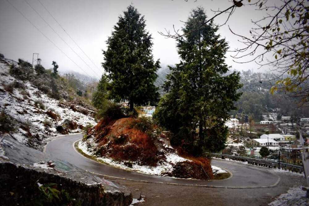 Мунсьяри: Goroomgo Mount Kailash Homestay Munsyari